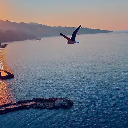 Treehouse * Półwysep Sorrentyński