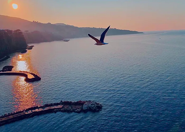 Treehouse * Sorrento